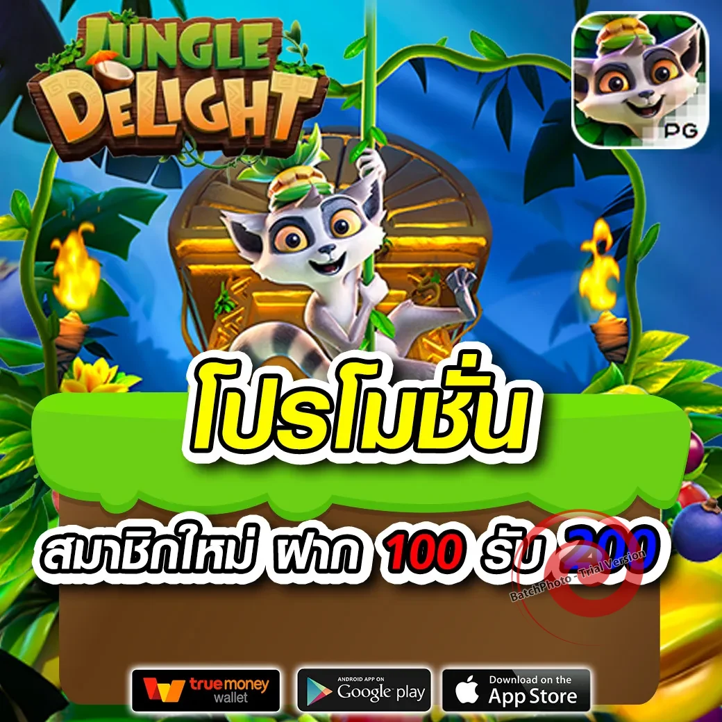 โอ เค คา สิ โน