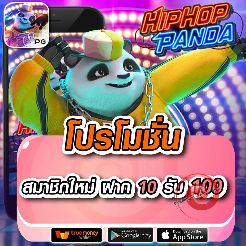 ok คา สิ โน